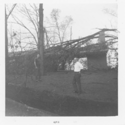 Unknown individual standing in front of destroyed trees