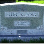strickland-monte-carrie-orville-tomb-rushtown-cem.jpg