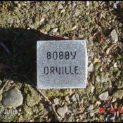 orville-bobby-tomb-newman-cem.jpg
